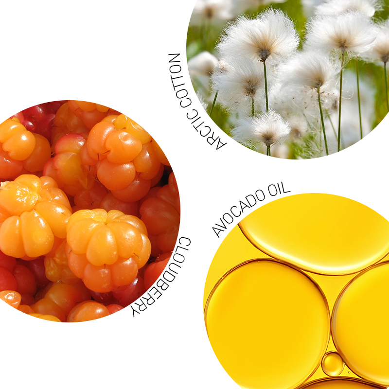 Artboard 10 011dd970 a48f 4c1a 887c 9703edbd94fc.png