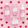 Bielenda Eco Sorbet Raspberry Moisturising Soothing Micellar Water 500ml (2)