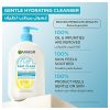 Garnier Fast Clear Gentle Cleanser Deep Hydrating Face Wash for Acne Prone Skin 250ml
