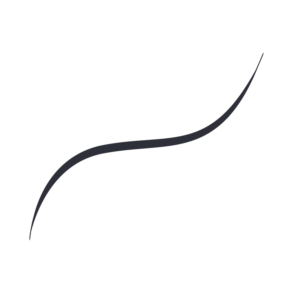L’Oréal Paris Infaillible Grip 36h Micro Fine liner