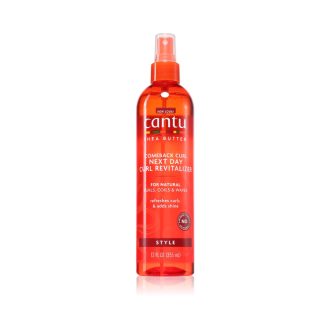 CANTU Shea Butter Curl Next Day