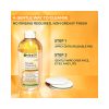 Garnier Skin Naturals