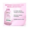Garnier Skin Naturals