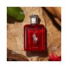 Ralph Lauren Polo Red